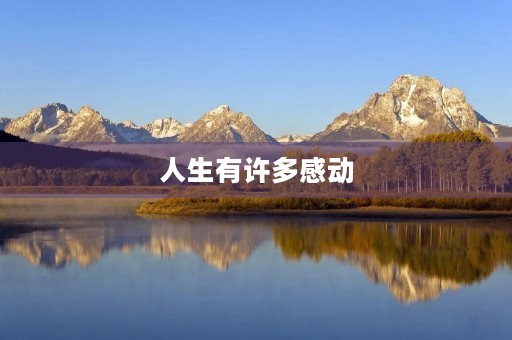 人生有许多感动 人生有许多感动
