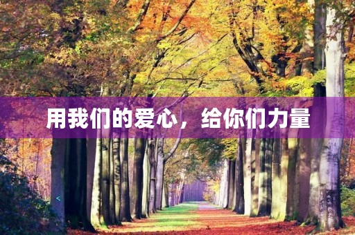用我们的爱心，给你们力量