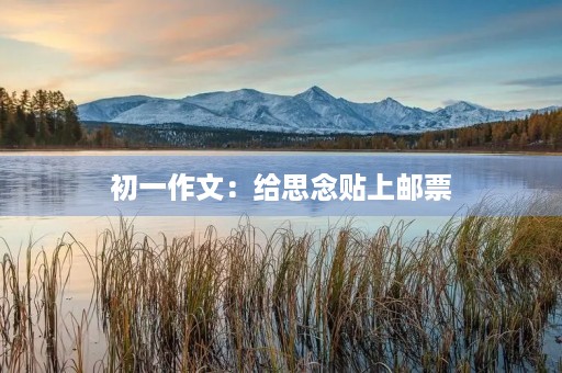 初一作文:给思念贴上邮票 初一作文:给思念贴上邮票
