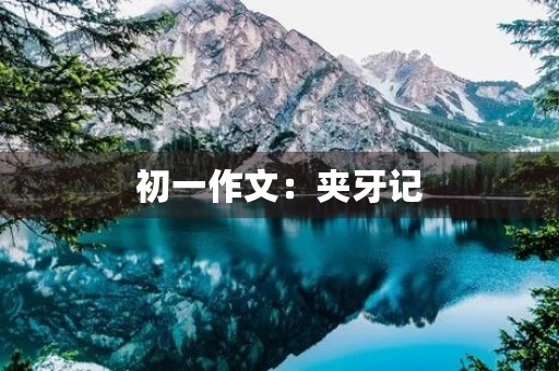 初一作文：夹牙记