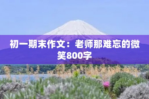 初一期末作文:老师那难忘的微笑800字 初一期末作文:老师那难忘的微笑800字