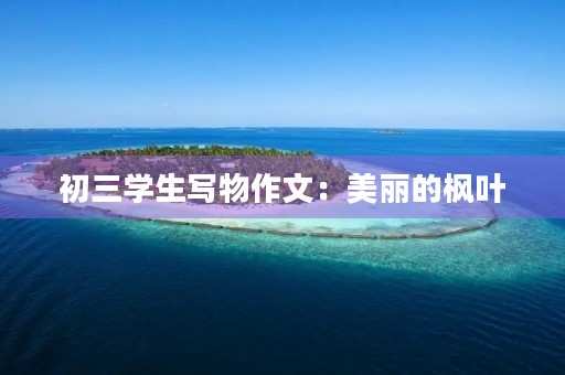 初三学生写物作文：美丽的枫叶