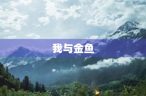 我与金鱼