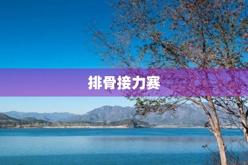 排骨接力赛 排骨接力赛