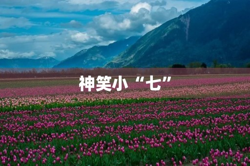 神笑小“七” 神笑小“七”