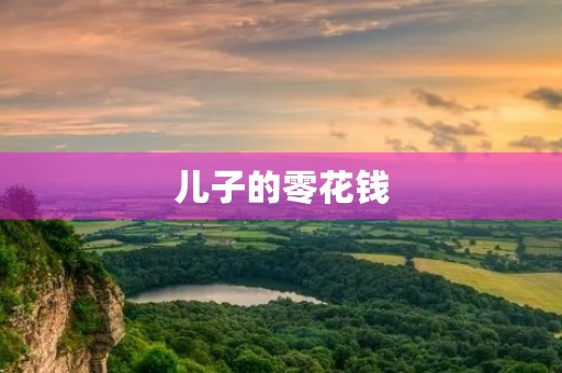 儿子的零花钱