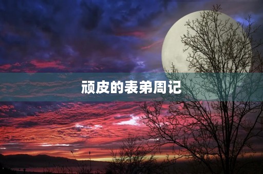 顽皮的表弟周记 顽皮的表弟周记