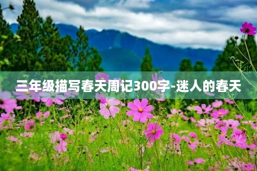 三年级描写春天周记300字-迷人的春天 三年级描写春天周记300字-迷人的春天
