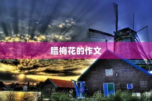 腊梅花的作文 腊梅花的作文