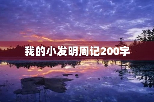 我的小发明周记200字