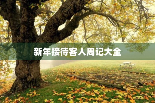 新年接待客人周记大全 新年接待客人周记大全
