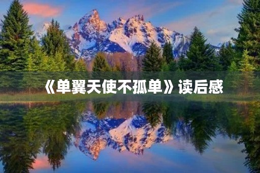 《单翼天使不孤单》读后感
