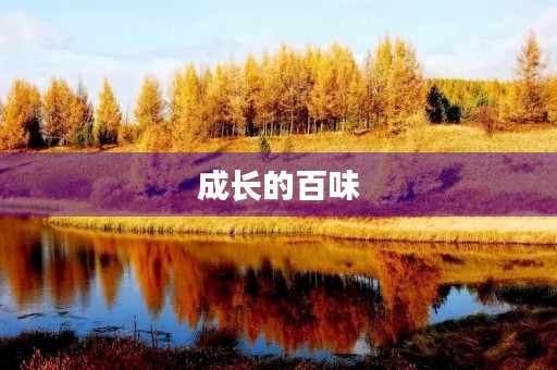 成长的百味 成长的百味