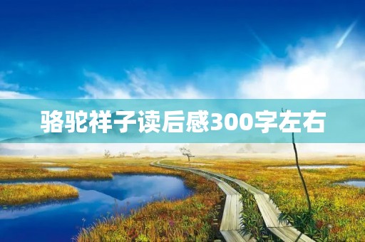 骆驼祥子读后感300字左右 骆驼祥子读后感300字左右