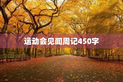 运动会见闻周记450字 运动会见闻周记450字