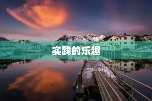 实践的乐趣 实践的乐趣