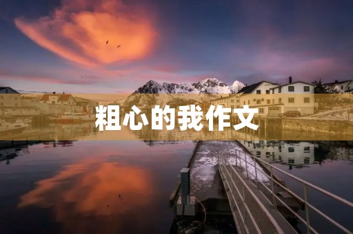 粗心的我作文
