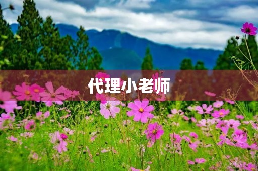 代理小老师