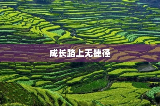 成长路上无捷径