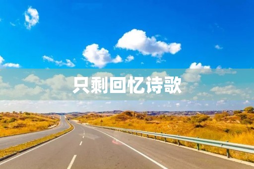 只剩回忆诗歌