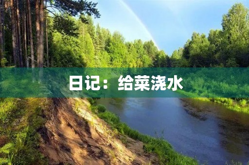 日记：给菜浇水