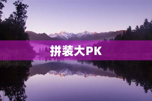 拼装大PK 拼装大PK