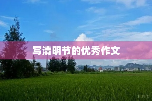 写清明节的优秀作文 写清明节的优秀作文