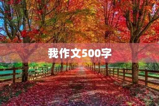 我作文500字 我作文500字