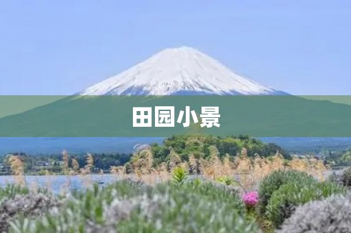 田园小景 田园小景