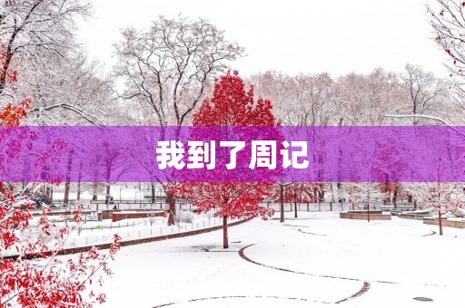 我到了周记