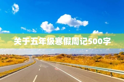 关于五年级寒假周记500字