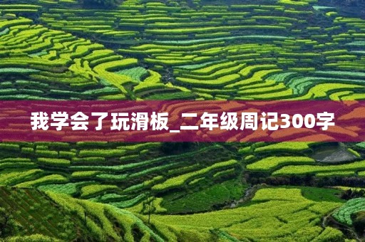 我学会了玩滑板_二年级周记300字 我学会了玩滑板_二年级周记300字