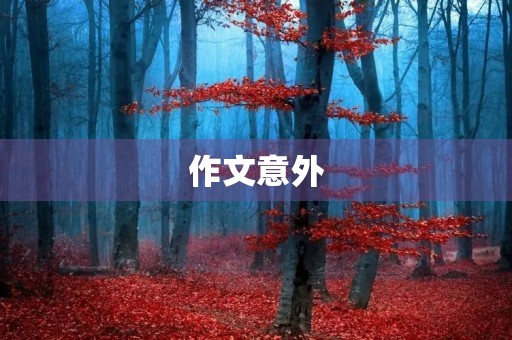 作文意外 作文意外