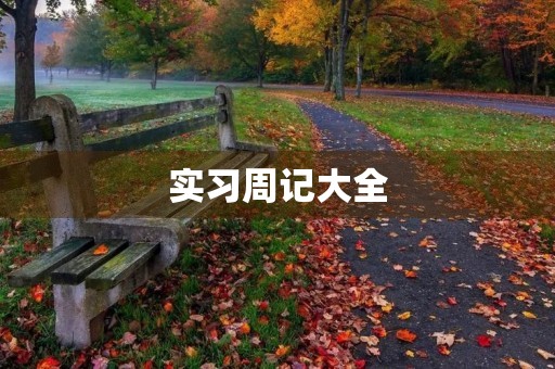 实习周记大全 实习周记大全