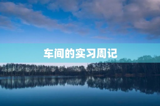 车间的实习周记 车间的实习周记