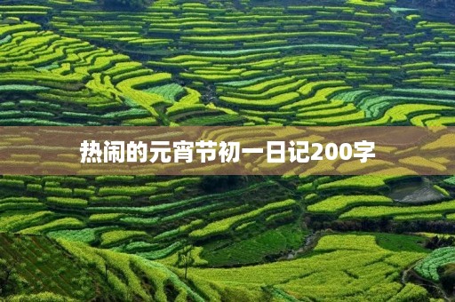 热闹的元宵节初一日记200字