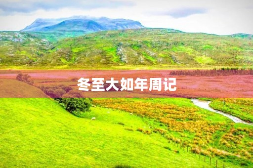 冬至大如年周记 冬至大如年周记