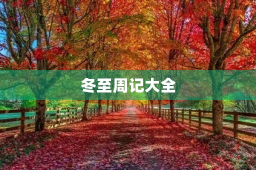 冬至周记大全 冬至周记大全