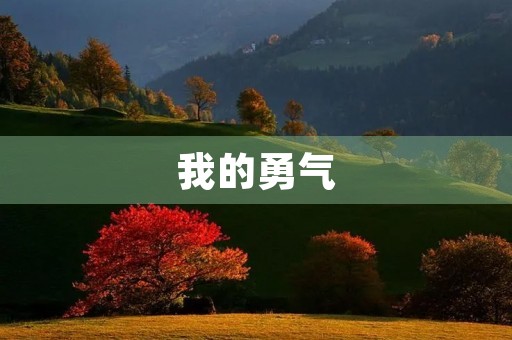 我的勇气 我的勇气