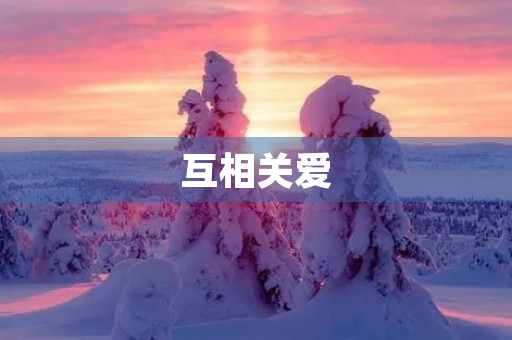互相关爱 互相关爱