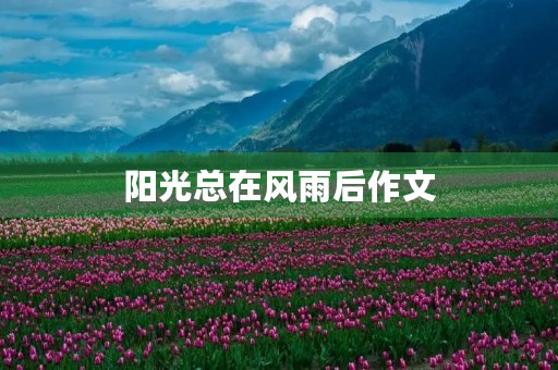 阳光总在风雨后作文