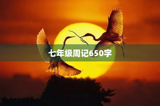 七年级周记650字 七年级周记650字