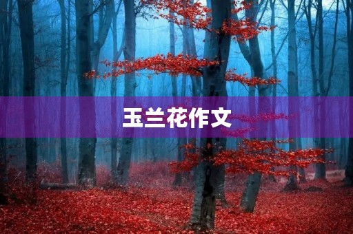 玉兰花作文 玉兰花作文