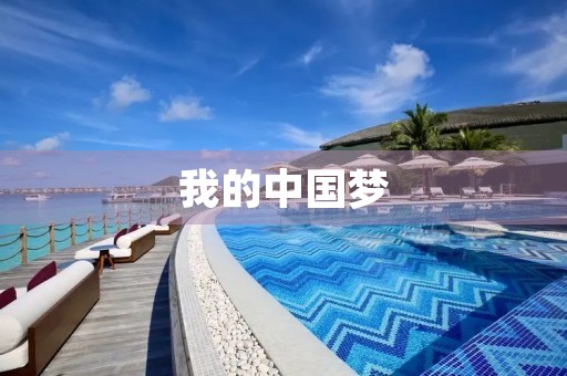 我的中国梦 我的中国梦
