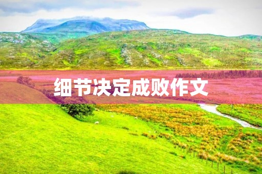 细节决定成败作文 细节决定成败作文