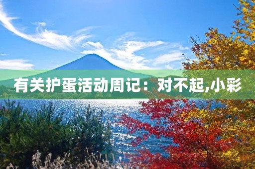 有关护蛋活动周记:对不起,小彩 有关护蛋活动周记:对不起,小彩