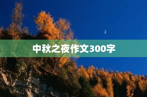 中秋之夜作文300字