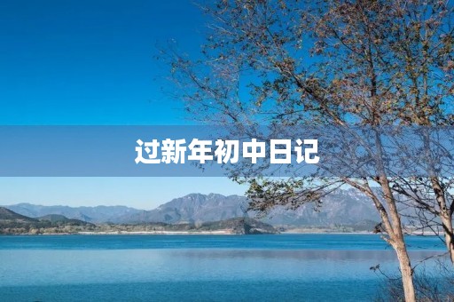 过新年初中日记 过新年初中日记