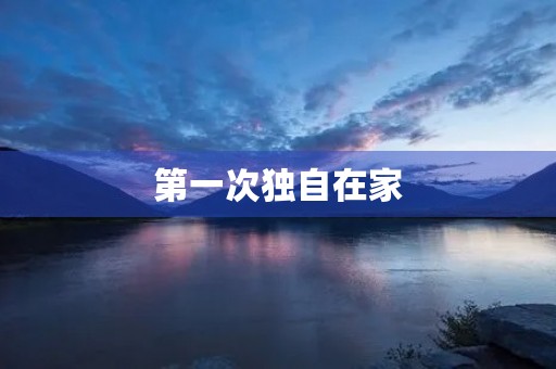第一次独自在家 第一次独自在家