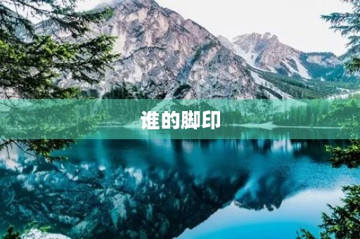 谁的脚印